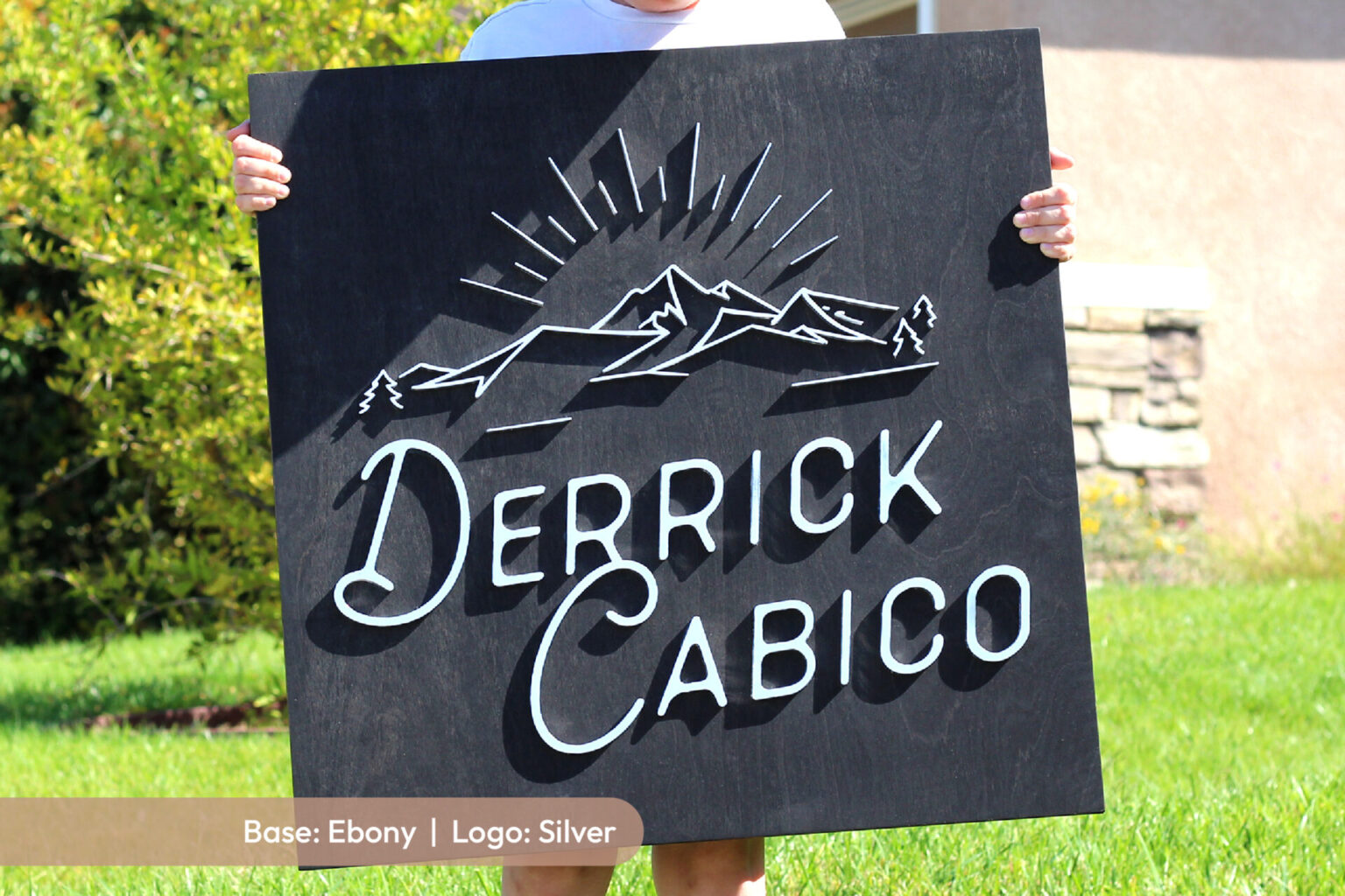 custom logo black ebony stain with silver logo business sign