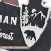 Custom National Forest Sign - Image 6