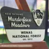 custom national forest sign without border with personalized cat logo icon on arrowhead emblem. Black stain base with natural birch colored personalized custom family name and date