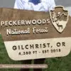 custom extra large national forest welcome sign with western oak stain and natural foreground personalized family surname name