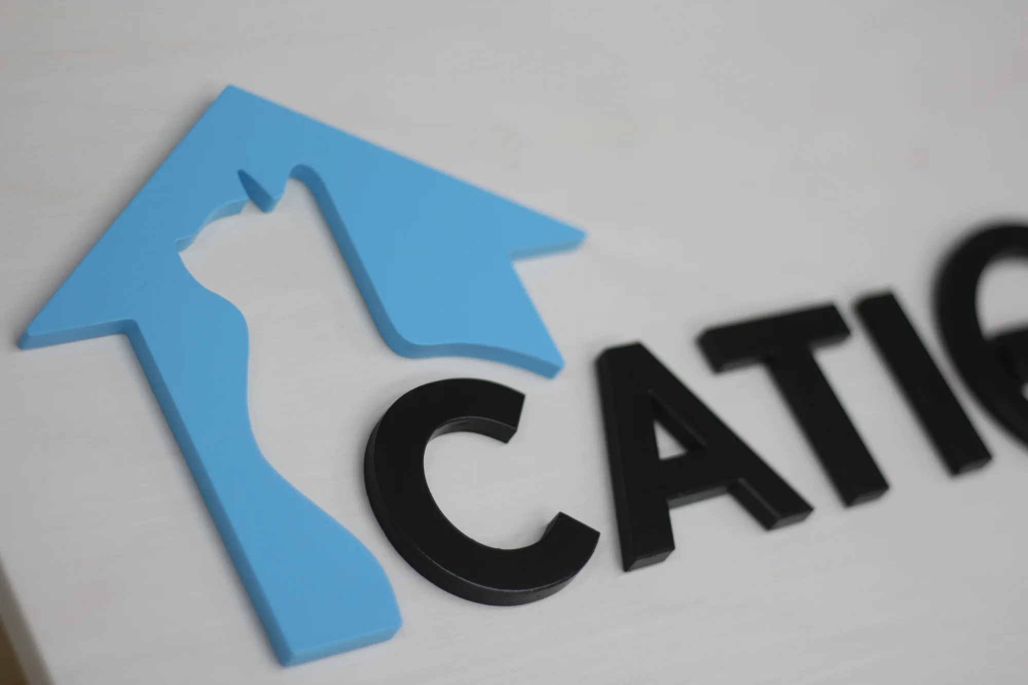Detail of the two color lettering