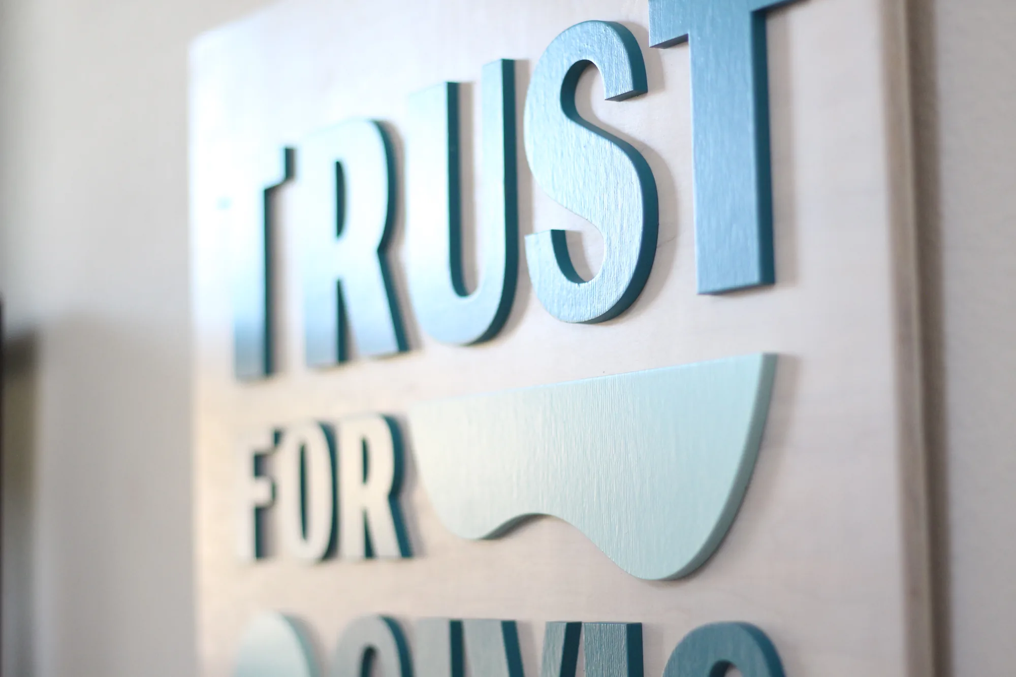 Detail of the raised lettering showing shadow definition