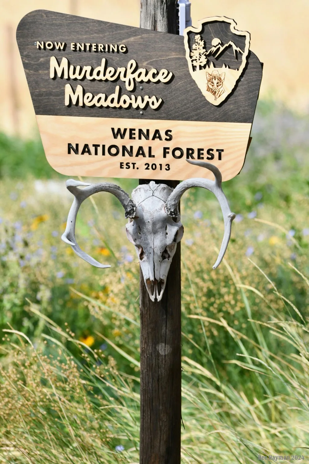 Now entering park style property sign on a post with a skull below