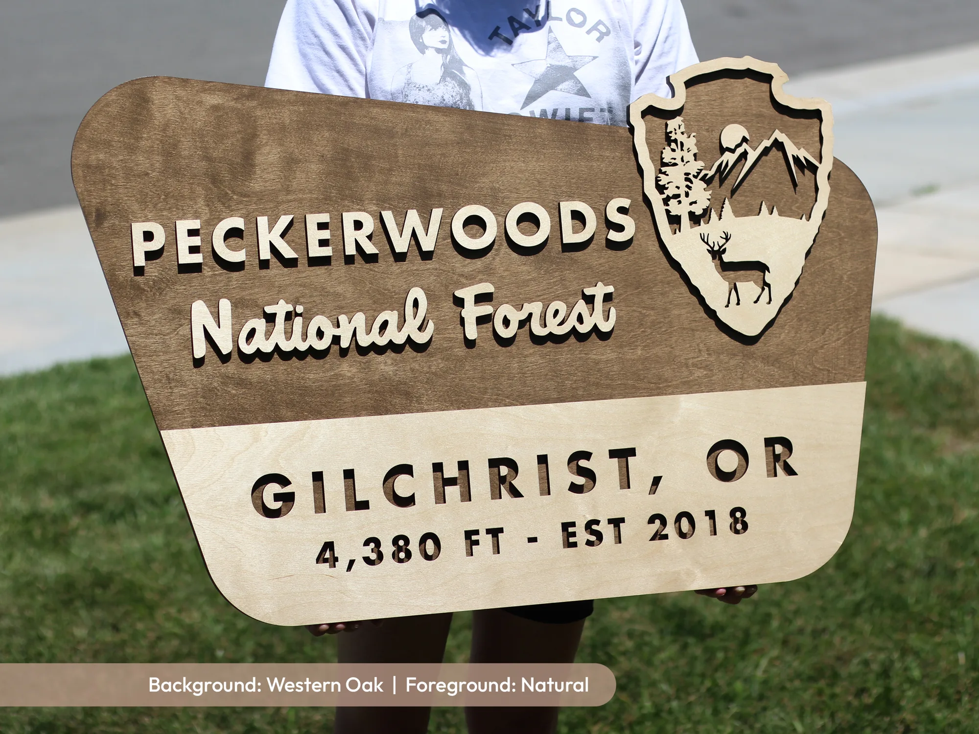 Western oak park style sign with a made up national forest name, a town and elevation